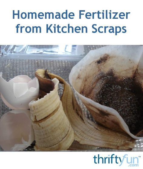 Don't throw out your eggshells, banana peels, or used coffee grounds. Use them to feed your plants! Just cut the peels into small pieces and crush the eggshells with the bottom of a mug. Mix all of them together then spoon into your flower pots. Epsom Salt Fertilizer, Homemade Fertilizer, Used Coffee Grounds, Banana Peels, Kitchen Scraps, Banana Coffee, Uses For Coffee Grounds, Coffee Mix, Homemade Coffee