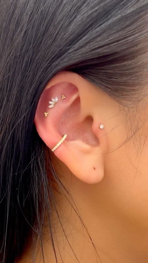 LULUS ✨ Jewelry & Ear Styling (@lulusbodypiercing) posted on Instagram • Mar 30, 2022 at 3:59pm UTC Inner Ear Piercing, Ear Styling, Inner Ear, Jewelry Ear, Ear Piercing, Ear Piercings, Ear Cuff, Cuff, On Instagram