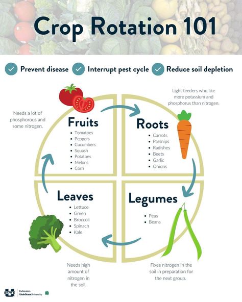 Garden Extension, Vegetable Garden Planner, Musical Chairs, Utah State University, Yard And Garden, Vegetable Garden Planning, Homestead Gardens, Vegetable Garden Diy, Backyard Vegetable Gardens