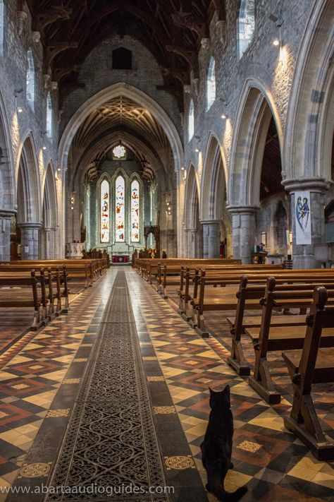 Getting a tour of St. Canice's Cathedral by the original Kilkenny Cat! :-) St Denis Cathedral, Medieval Sculpture, Kilkenny Ireland, St John The Divine Cathedral, Cathedral Rock, St Patrick’s Cathedral Dublin, Stone Town, Pandora Collection, Round Tower