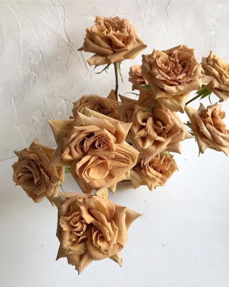 This darling rose is worth her weight in gold✨ thank you @flowersbysemia for turning me on to #toffee Backdrop by @onestonewest… Toffee Rose Wedding, Toffee Rose, Toffee Roses Wedding Centerpieces, Toffee Roses, Toffee Roses Wedding Bouquet, Christmas Toffee, Toffee Dessert, Soft Toffee, Toffee Bark