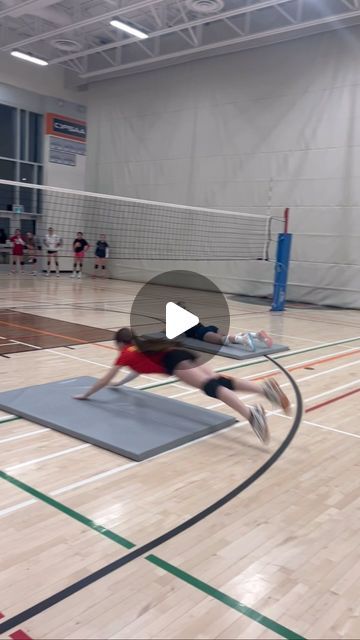 Dolphin Dive Volleyball, Work Hard Play Hard, Dolphins, Volleyball, Diving, On Instagram