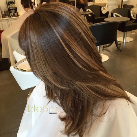 Bold balayage highlights on long chocolate brown hair. Brown Hair With Caramel, Brown Hair With Caramel Highlights, Rambut Brunette, Highlights Ideas, Honey Brown Hair, Brown Hair Inspo, Brunette Hair With Highlights, Chocolate Brown Hair, Hair Streaks