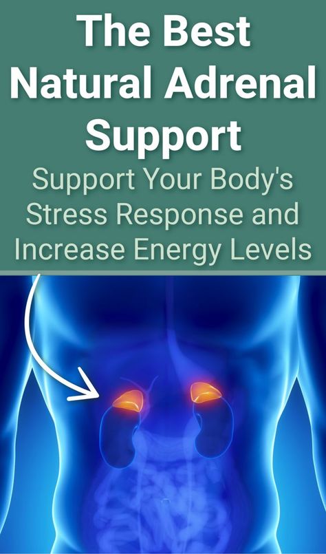 The adrenal glands. Adrenal Fatigue Diet Recipes, Adrenal Fatigue Essential Oils, Adrenal Support Supplements, Adrenal Fatigue Supplements, Adrenal Fatigue Diet, Essential Oils For Healing, Oils For Healing, Addison's Disease, Adrenal Fatigue Symptoms