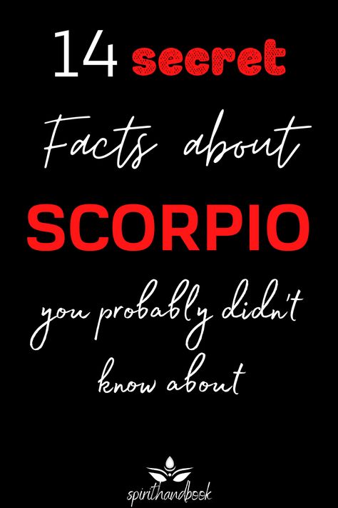 The Scorpio is the eighth sign of the zodiac.There are many bad cliches about Scorpios and I, as a (double) Scorpio myself, have to admit some of them are true. Scorpios for sure aren’t the easiest personalities and yet, they actually have many positive characteristics that make them likable and adorable. This post reveals 14 secret facts about the Scorpio zodiac sign you probably didn’t know about.    Astrology - Season - Star - Zodiac facts - Constellation - #astrology #zodiac #signs #scorpio Scorpion Zodiac Facts, Scorpio Facts Personality Types, Scorpio Zodiac Facts Men, Libra And Scorpio Compatibility, Facts About Scorpio, Scorpio Qualities, Scorpio Characteristics, Zodiac Mind Scorpio, Libra And Scorpio