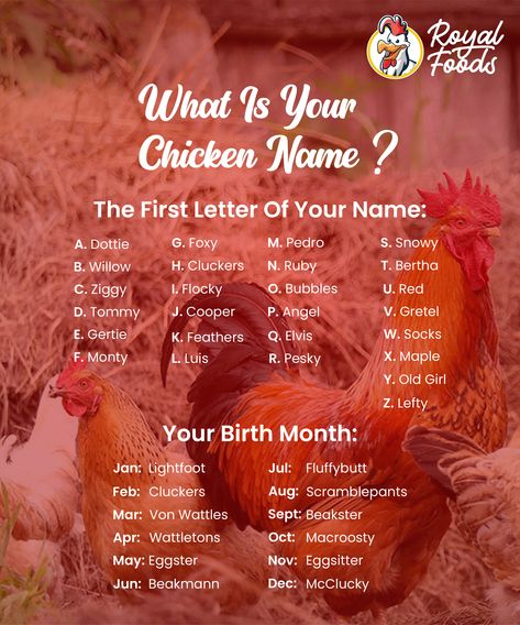 #royalfoods #foodlover #chickenlover #chickensofinstagtam #likeforlike #instatrend Funny Name Generator, First Letter Of Your Name, Name Games, Funny Names, Name Generator, Birthday Party Games, Raising Chickens, Interesting Stuff, Birth Month