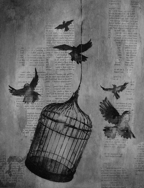 Bird Cage Drawing, Birdcage Drawing, Cage Drawing, Illustrations Tattoo, Sparrow Drawing, Bird In A Cage, Cage Tattoos, Black Bird Tattoo, Tattoo Bird