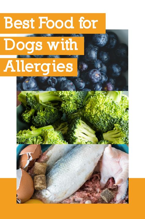 Allergy Dog Food Recipe, Homemade Dog Food Recipes For Dogs With Allergies, Homemade Food For Dogs With Allergies, Diy Dog Food For Allergies, Allergy Remedies For Dogs, Allergy Free Dog Food Recipes, Homemade Dog Food For Dogs With Allergies, Allergies In Dogs Remedies, Food For Arthritic Dogs