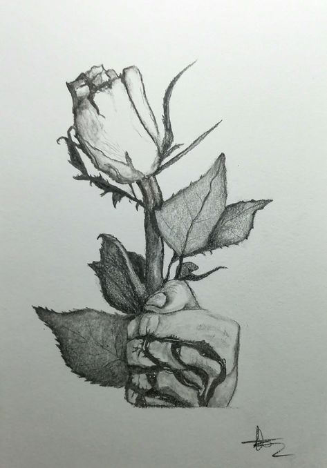 Drawing Of A Hand, Hand Holding Rose, Thorn Tattoo, Drawing Rose, Holding A Rose, Rose Sketch, Skeleton Drawings, Rose Drawing, Tough Love