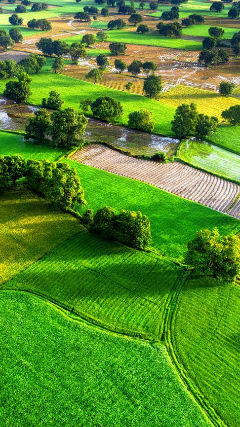 Aerial view of rice fields in Mekong Delta, Tri Ton town, An Giang province, Vietnam | Windows 10 Spotlight Images Windows Spotlight Wallpapers, Mekong Delta Vietnam, Mekong Delta, Rice Fields, Dream Place, Wallpaper Collection, Aerial View, Windows 10, Beautiful Landscapes