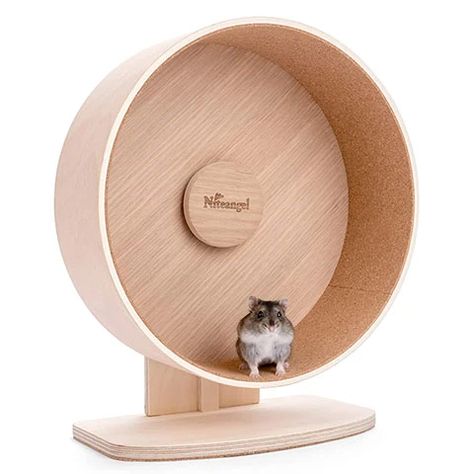 Hamster Running, Hamster Life, Baby Rats, Hamster Wheel, Room Items, Exercise Wheel, Syrian Hamster, Running Track, Gerbil