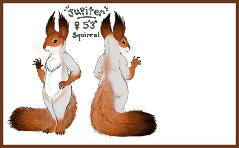 Design for Jupiter fursona by Doodledoomed Squirrel Fursona, Squirrel Fursuit, Fursuit Species Open, Lion Fursuit, Wickerbeast Fursuit, Multicolorbark Fursuits, Rooster, Animals, Design