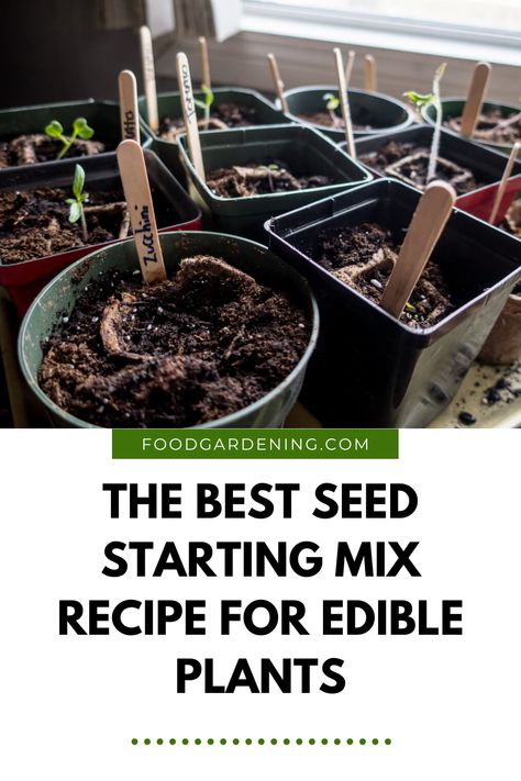 Best Seed Starting Mix Recipe for Edible Plants Seed Starting Mix Recipe, Soil Recipe, Soil Fertilizer, Seed Starting Soil, Seed Starting Mix, Seed Starter, Growing Veggies, Plant Diseases, Food Forest