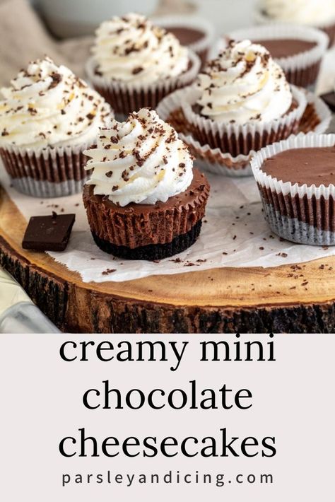 Mini Chocolate Cheesecakes Easy, Mini Chocolate Chip Desserts, No Bake Mini Chocolate Cheesecake, Mini Coffee Cheesecakes, Mini Chocolate Pie, Mini Chocolate Cheesecakes, Chocolate Cheesecake Cupcakes, Refrigerator Desserts, Cook Desserts