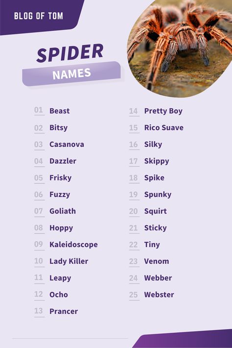 Names For Animals, Spider Names, Spider Names Ideas, Spider Sona Name Ideas, Goth Dog Names, Unique Names For Pets, Bugs With Names, Snake Names, Spider Baby