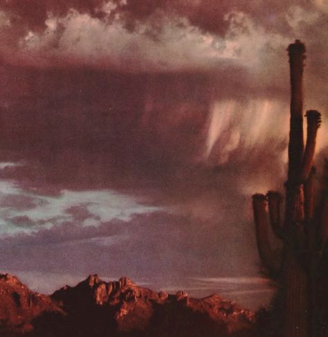 Desert Gothic, Southwest Gothic, Southwestern Gothic, Desert Grunge, Very Weird, Desert Aesthetic, Cowboy Aesthetic, The Creeper, Desert Dream