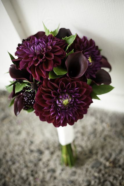 Delilah and Calla lilies bouquet Dark Bouquet, Purple Dahlias, Dahlia Wedding Bouquets, Dark Purple Wedding, Dahlias Wedding, Dahlia Bouquet, Purple Dahlia, Bouquet Bride, Lily Wedding