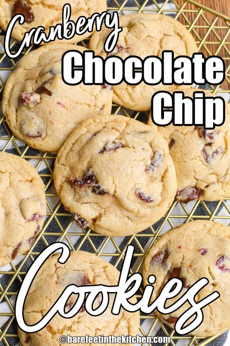 Cranberry Chocolate Chip Cookies Choclate Chip Cookie Recipe, Cranberry Chocolate Chip Cookies, Craisin Cookies, Dried Cranberries Recipes, Cranberry White Chocolate Chip Cookies, Chocolate Cranberry Cookies, Cranberry Cookies Recipes, Cranberry Chocolate, Buttercream Icing Recipe