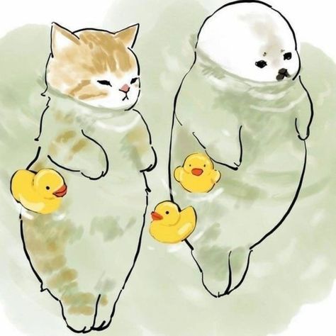 Two Cats, Ducks