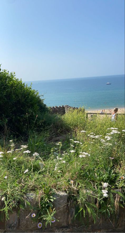 Beach University, Bournemouth Beach, Coastal Life, Bournemouth, University, Natural Landmarks, Plants, Travel, Quick Saves