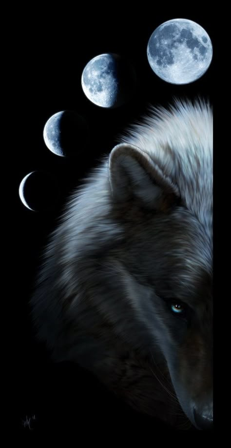 Wolf Quote, Lone Wolf Quotes, Wolf And Moon, Wolf Sketch, Wild Animal Wallpaper, Wolf Images, Wolf Photography, Wolf Artwork, Fantasy Wolf