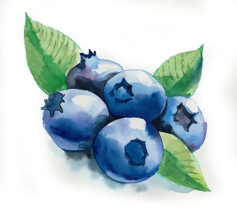 Watercolor Blueberries, Watercolor Beginner, Leaf Images, Edible Landscaping, Banner Printing, Food Illustrations, Image Photography, Blueberries, Art Girl