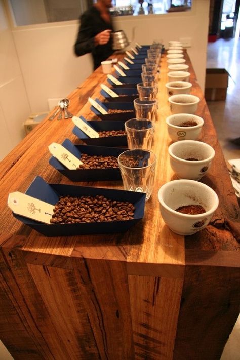 Coffee Cupping, Coffee Lab, Coffee History, Coffee Roastery, Coffee Business, Coffee Shops Interior, Tasting Party, Coffee Photos, Specialty Coffee