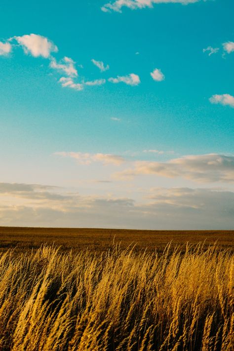 Free stock photo of nature, sky, field, countryside Nature Png Background, Sky Png Backgrounds, Sky Background For Editing, Natural Background Images, Background Images Sky, Sky Background Images, Sky Png, Agriculture Background, Background Sky