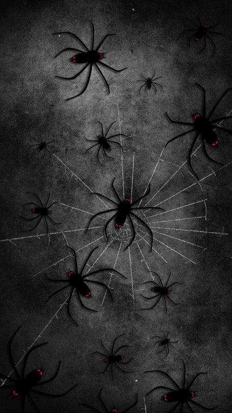 Spider Aesthetic Dark, 2000s Background, 2000s Wallpaper, Creepy Backgrounds, Spiders Scary, Red And Black Wallpaper, Creepy Spider, Architecture Wallpaper, Cover Wallpaper