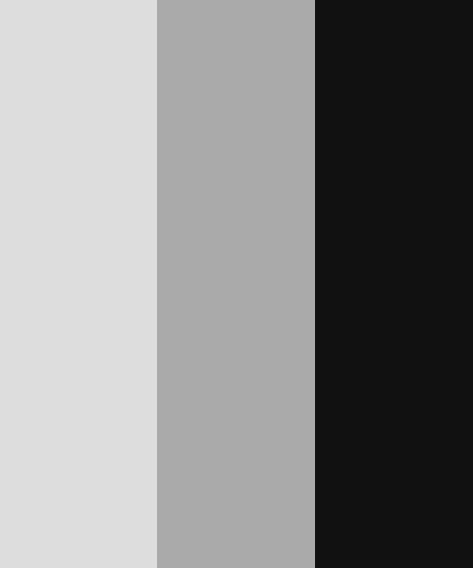 Fav Color Black And White, Black And White Color Palette, Black Color Scheme, Gray Hex, Hexadecimal Color, Black Color Palette, Grey Palette, Color Black And White, Grey Color Palette