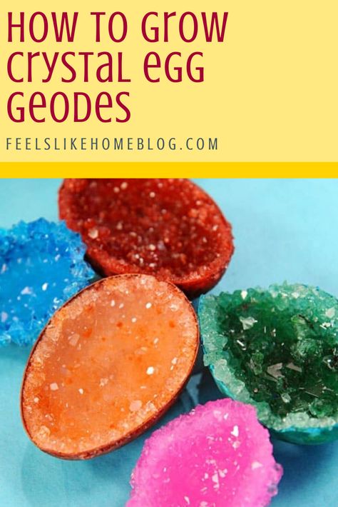 How to Make and Grow Your Own Crystal Geodes - Cool Science Experiment for Kids - These super easy and simple instructions are based on Martha Stewart's but much better with more science background. Use natural or plastic eggshells to make beautiful, fun crystals for Easter, science fair, or any time! Crystals For Kids, Easter Science, Grow Your Own Crystals, Science Experiment For Kids, Cool Science, Experiment For Kids, Growing Crystals, Steam Projects, Science Background