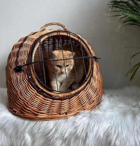 wicker pet carrier storage basket, cat and dog house indoor, handmade ecofriendly gift for pets, small dog carrier, pet bed, pets gift by WorldOfVines on Etsy Cat In Bike Basket, Wicker Cat Bed, Dog House Indoor, Cat In Basket, Small Dog Carrier, Niche Chat, Pet Storage, Cat Basket, Pet Crate