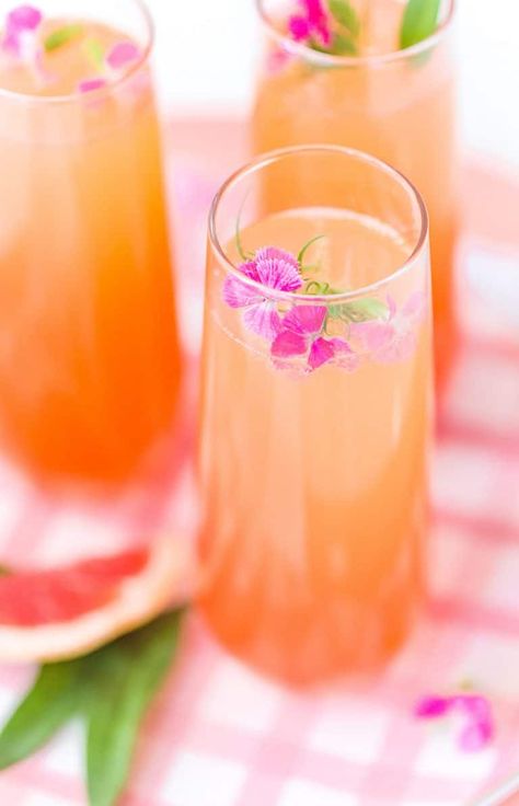 Champagne Punch Recipes, Bridal Shower Punch, Fruity Party, Brunch Punch, Citrus Party, Bridal Shower Drinks, Adult Tea Party, Citrus Drinks, Yummy Summer Cocktails