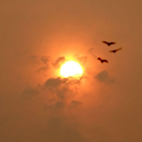 Red sun phenomenon 'caused by Saharan dust', analysis shows - BBC News Goddess Of Sun, Type Of Person, Star Cloud, Red Sun, Increase Sales, Moon Star, The Goddess, Sun Moon, Solar