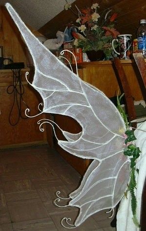 Fairy Wings Cellophane, Fairy Wing Types, Doll Fairy Wings Diy, Diy Wire Fairy Wings, Winter Fairy Wings, Home Made Fairy Wings, Moss Fairy Wings, Lace Fairy Wings, Fairy Wing Shapes