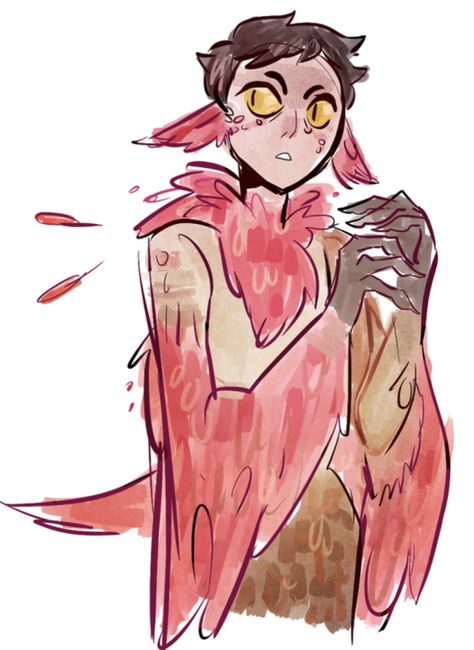 Human Bird Oc, Bird Human Hybrid, Drawtober 2024, Harpy Oc, Aesthetic Birds, Human Wings, Winged People, Bird People, Hybrid Art