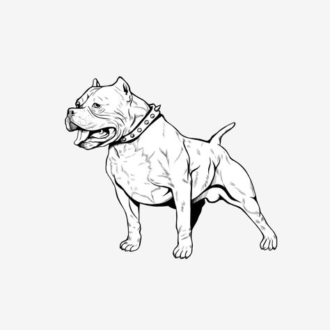 dog,pitbull,pet,animal,puppy,lineart,outline,drawing,handdraw,big dog,angry dog,old english dog,old english pitbull Pittbulls Dogs Tattoo, Angry Dog Drawing, Pitbull Dog Drawing, Pitbull Outline Tattoo, English Pitbull, Pitbull Sketch, Pit Bull Drawing, Pitbull Drawing, Pitbull Tattoo