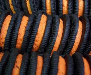 Halloween Oreos, Fall Inspiration, Fall Inspo, Season Of The Witch, Spooky Scary, Fall Feels, Love Eat, Black And Orange, Autumn Aesthetic