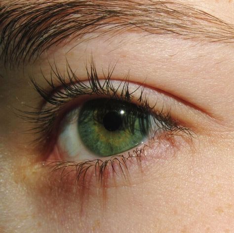 Green Green Eyes Aesthetic, Eyes Aesthetic, Crystal Eyes, Lily Evans, Eye Photography, Aesthetic Eyes, Eye Art, Pretty Eyes, Character Aesthetic