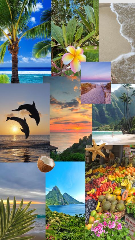 Hawaii vibes Hawaii Landscape Wallpaper, Waikiki Hawaii Aesthetic, Hawaii Travel Aesthetic, Hawaii Vibes Aesthetic, Maui Hawaii Aesthetic, Honolulu Hawaii Vacation, Hawaiian Aesthetic, Hawaii Wallpaper, Photos Of Hawaii