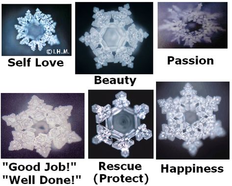 Masaru Emoto water crystals. Masaru Emoto Water, Hidden Messages In Water, Water Crystals, Unkind Words, Masaru Emoto, Love Jar, Negative Words, Structured Water, Metatrons Cube