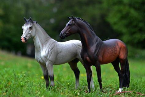 #Horse #schleich #collecta #wia #model #photohorse #photocollecta Collecta Horses, Schleich Photography, Breyer Photography, Schleich Horses, Horse Model, Bryer Horses, Toy Horses, Horse Accessories, Custom Horse