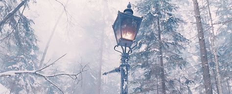 Narnia Narnia Aesthetic Winter, Lamppost Narnia, Narnia Screencaps, Narnia Wallpaper, Narnia Aesthetic, Chronicles Of Narnia Books, Peter Pevensie, Narnia 3, Me And My Brother