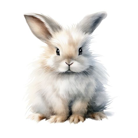 Ocean Odyssey: Clipart Animal Illustration Set Jungle Clipart, Rabbit Clipart, Creative Clips Clipart, Bunny Clipart, Fake Animals, Bunny Drawing, Fluffy Bunny, Bunny Art, Detailed Drawings