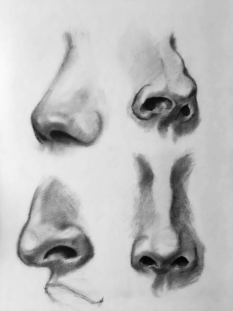 Roman Nose Reference, Nostrils Drawing, Roman Nose Drawing, Face Details Drawing, Long Nose Drawing, How To Draw Collar Bones, Roman Nose Front View, Crooked Nose Drawing, Different Noses Drawing