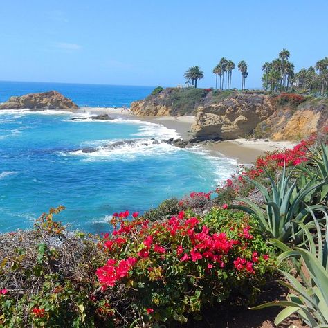 1,000 Steps Beach (Laguna Beach) - All You Need to Know BEFORE You Go Heisler Park, California Beach Camping, Crystal Cove State Park, Beach Mansion, California Wildflowers, Laguna Beach California, Beautiful Vacations, Hidden Beach, Treasure Island