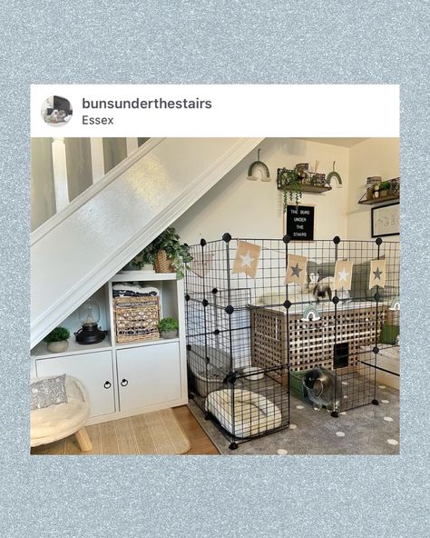 Thursday is all about bunny free roam setup inspo! This week, we’re highlighting some adorable indoor setups that YOU can set as your goal. I’m obsessed with these spaces! All their bunnies are free roaming in the house, but of course, bunnies still need their own room or area. Soak up these ideas and get inspired to create a better free roam space for your home!🏡🐰✨#setupinspo #bunnysetup #rabbitset @loptales @theo.and.eevee @maythebunsbewithyou @bunsunderthestairs Rabbit Incloser Indoors, Bunny Free Roam, Rabbit Home, Bunny Room, Own Room, Bunny Cages, Holland Lop, Pet Bunny, Under Stairs