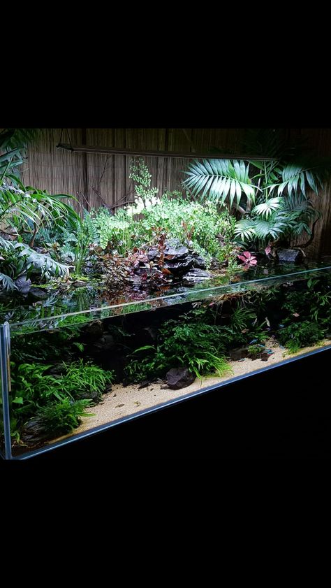 Turtle Paludarium, Tropical Vivarium, Nature Aquascape, Natural Aquarium, Tropical Terrariums, Fish Tank Themes, Custom Aquarium, Fish Tank Terrarium, Amazing Aquariums