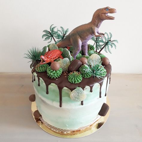 Dino cake Dinasour Birthday, Dino Birthday Cake, Butter Fingers, Dino Cake, Dinosaur Birthday Cakes, Dinosaur Themed Birthday Party, 3rd Birthday Party, Dino Birthday Party, 3rd Birthday Cakes