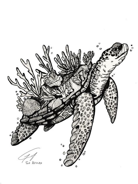 #turtle #sketch #ink #inkdrawing Drawing Of Turtle, Turtle Sketch, Life Sketch, Turtle Drawing, Sketch Ink, Drawing Aesthetic, Pen Drawing, Marine Life, Ink Drawing